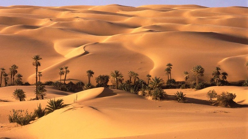Cairo & Desert Adventure Tour